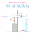 Vector illustration of Reaction of Sodium and Chlorine.